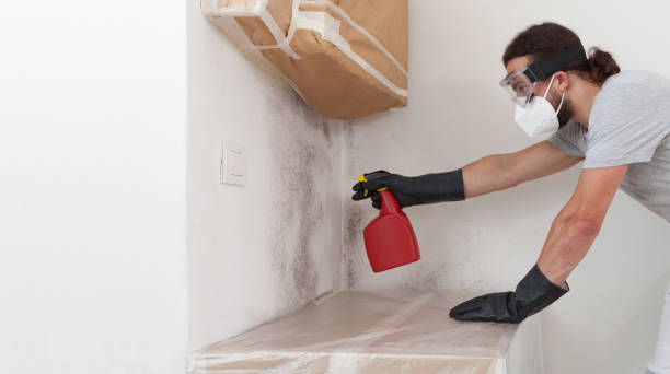 Professional Crawl Space Mold Removal technician working in Burnham, PA