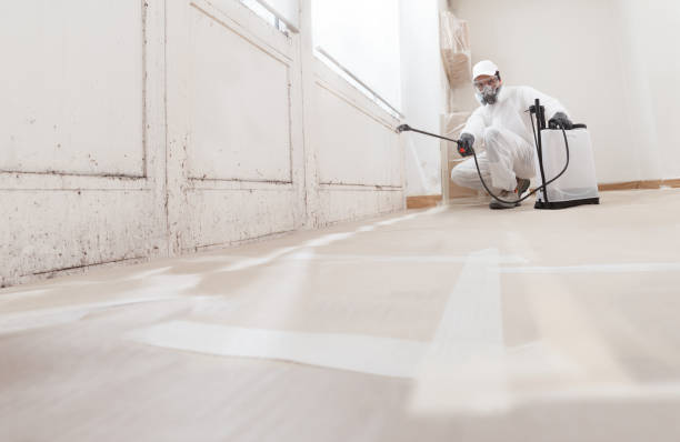 24/7 Emergency Crawl Space Mold Removal experts in Burnham, PA